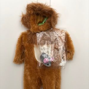 Lion Costume Baby